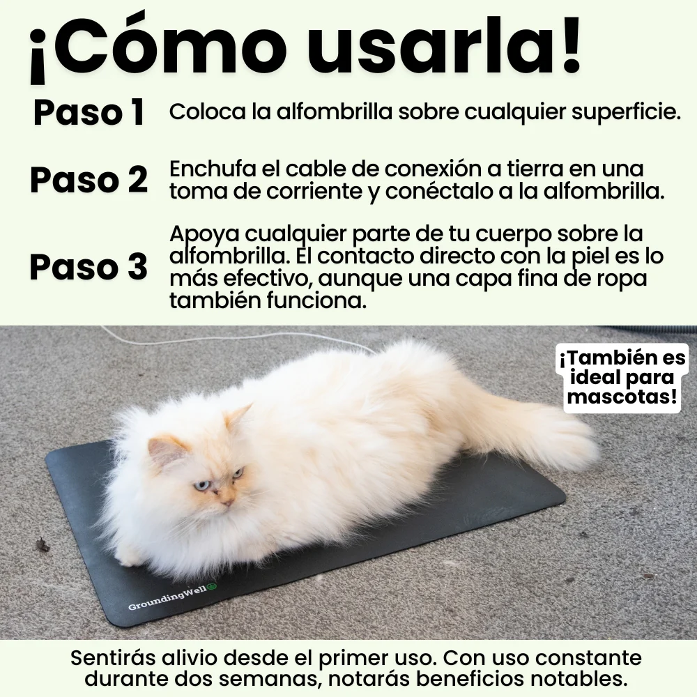 Imagen del producto 29
